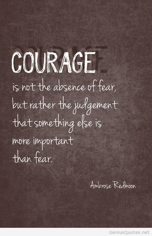 Courage is not the absence of fear but rather the judgement that something is more important than fear  - Ambrose Redmooon