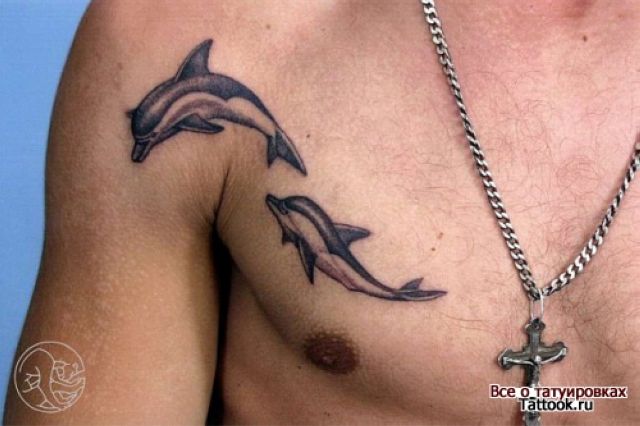 Dolphin Tattoo On Front Shoulder