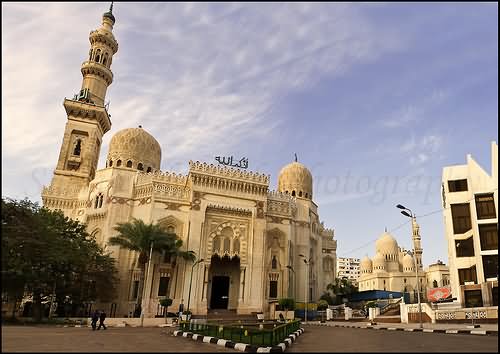 El-Mursi Abul Abbas Mosque At Dawn Picture
