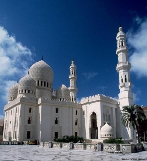 El-Mursi Abul Abbas Mosque Courtyard Picture