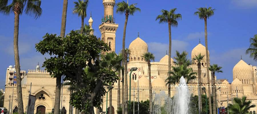 El-Mursi Abul Abbas Mosque Photo
