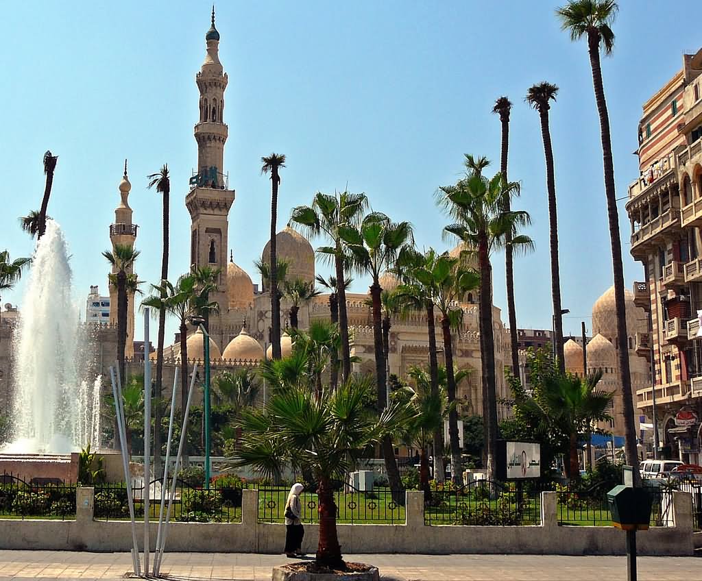 El-Mursi Abul Abbas Mosque View From Park