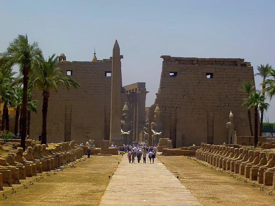 Front Picture Of The Luxor Temple