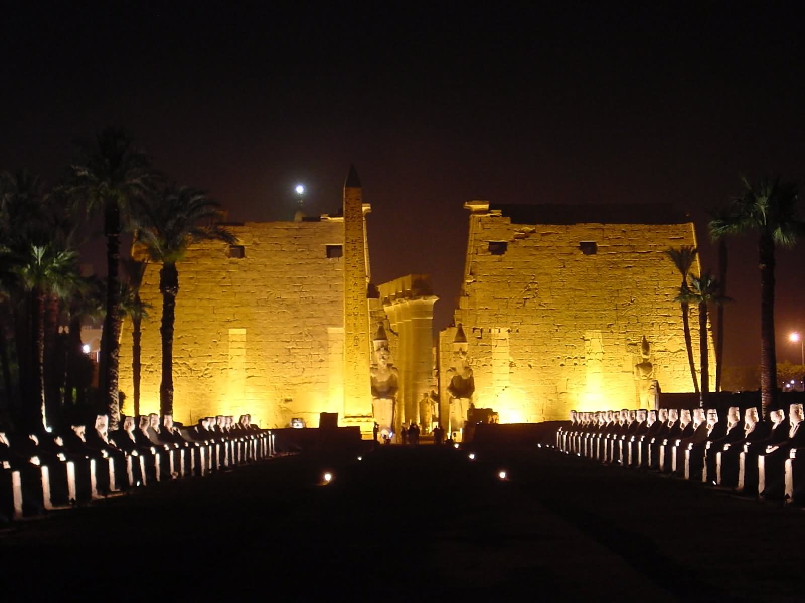 Front View Picture Of Luxor Temple At Night