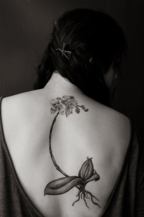 Girl Upper Back Orchid Flowers Tattoo