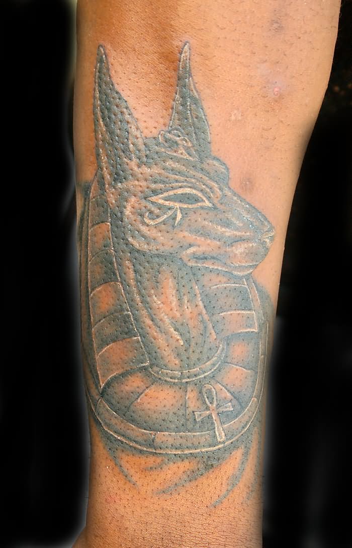 Grey Anubis Head Tattoo On Arm
