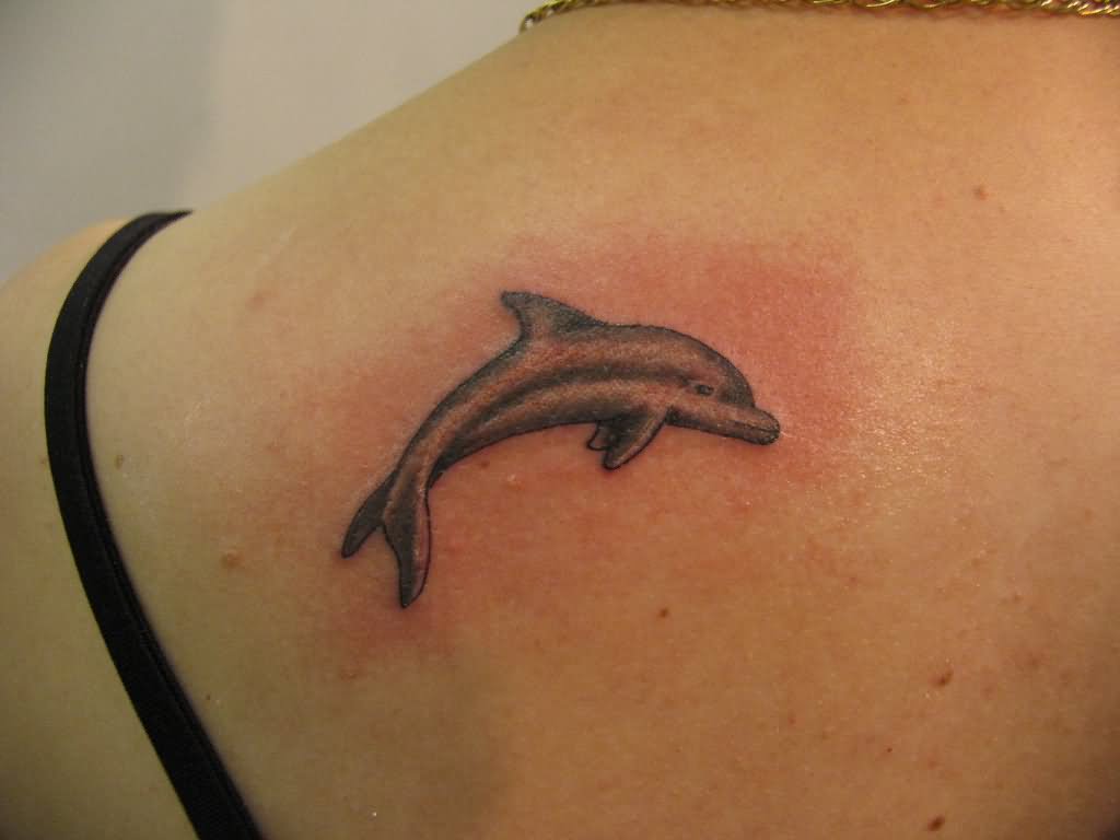 Grey Dolphin Tattoo On Left Back Shoulder