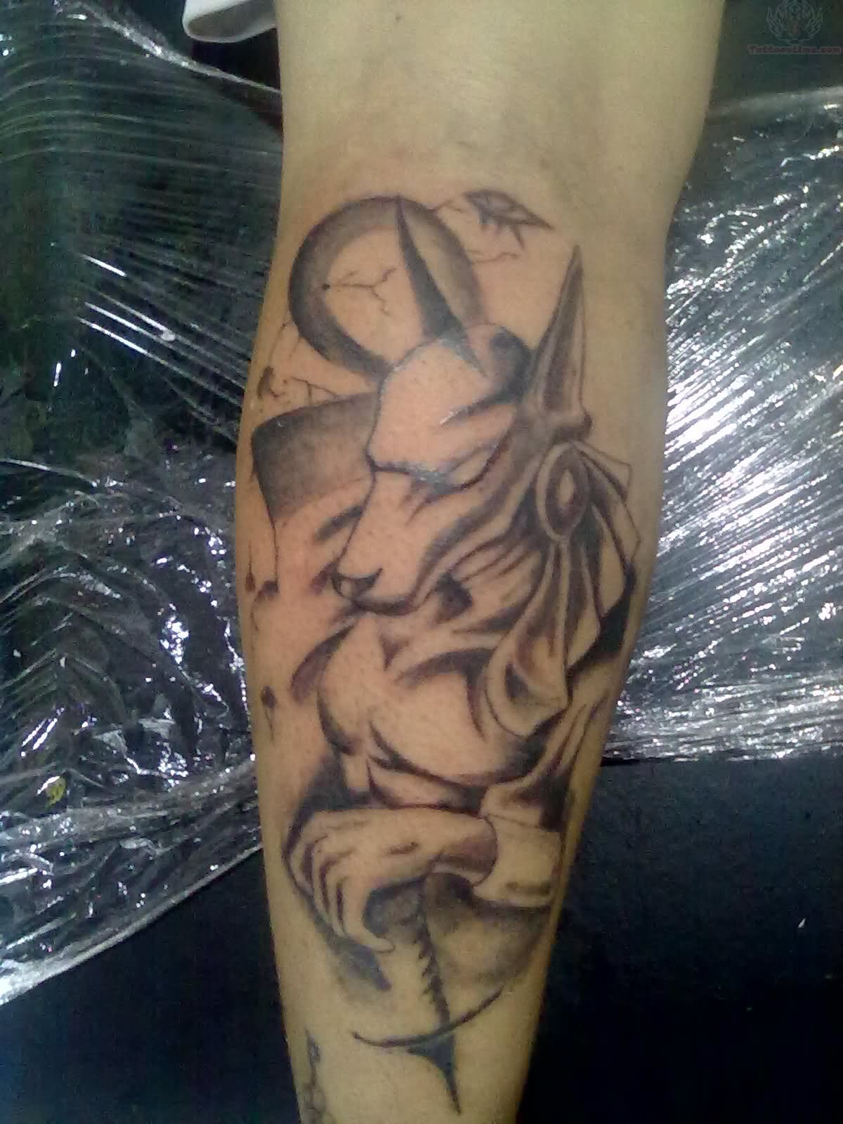 Grey Ink Anubis Tattoo On Back Leg