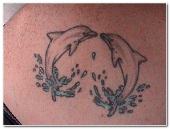 Grey Ink Dolphin Tattoos Ideas