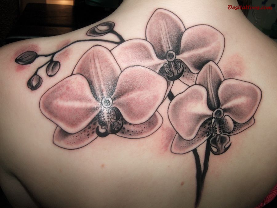 Grey Ink Orchid Tattoo On Upper Back For Girls