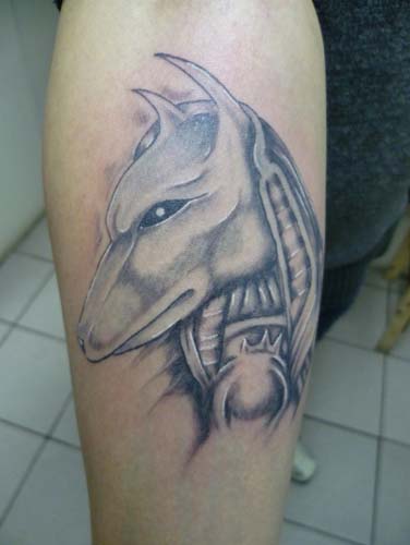 Grey Ink Anubis Tattoo On Right Forearm