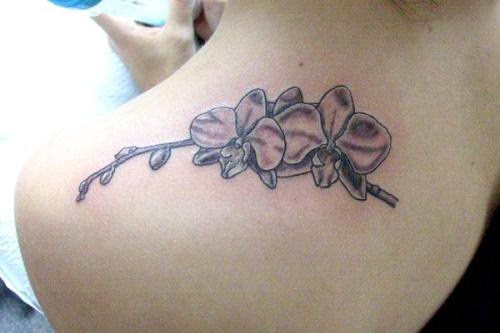 Grey Orchid Tattoo On Left Back Shoulder