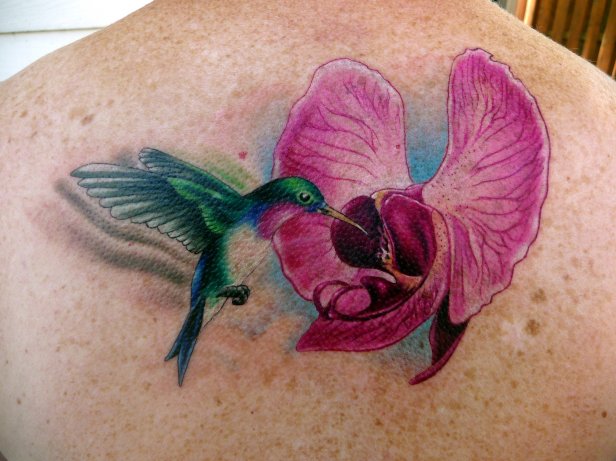 Hummingbird And Orchid Tattoo On Upper Back