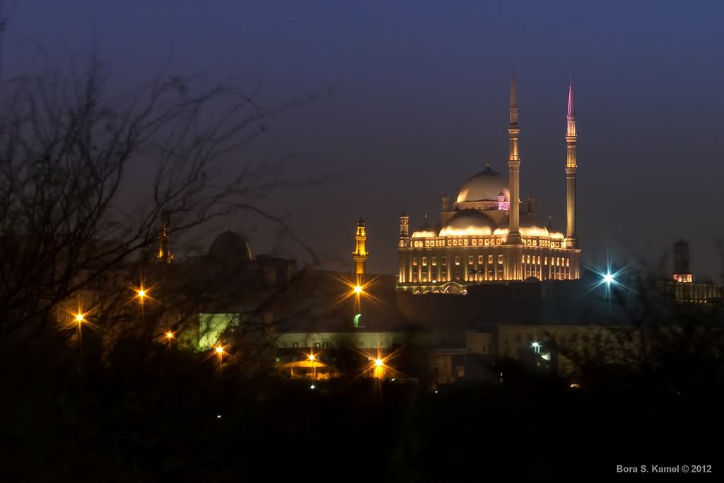 Incredible Night Picture Of The Muhammad Ali Mosque