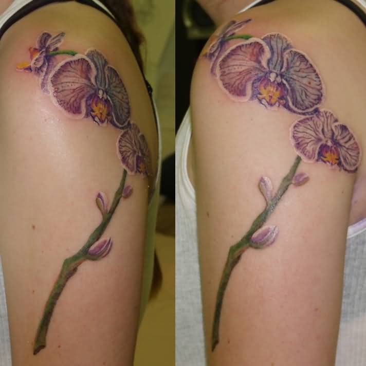 Left Shoulder Orchid Tattoo Design For Girls