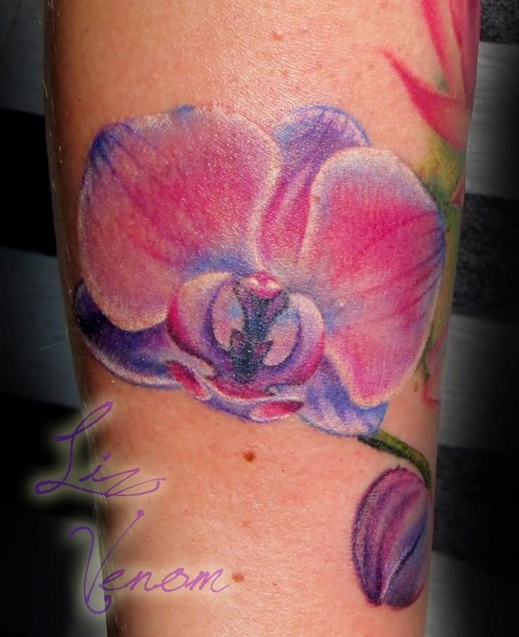 Lovely Orchid Tattoo On Bicep by Liz Venom