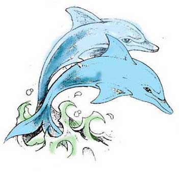 Nice Blue Dolphin Tattoos Design