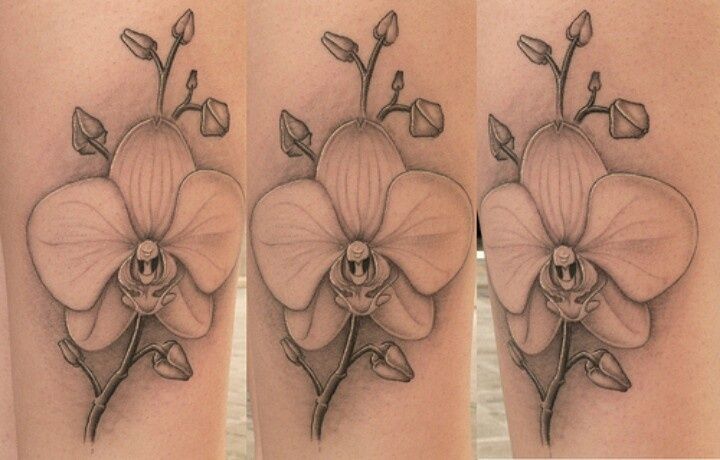 Nice Grey Ink Orchid Tattoo On Bicep