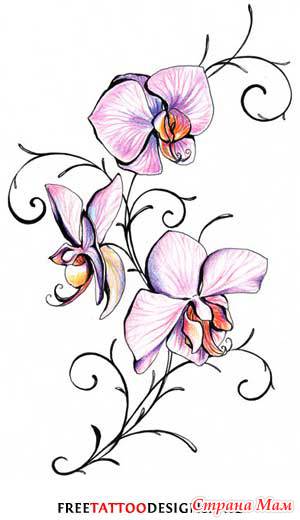 Nice Orchid Tattoo Designs And Ideas