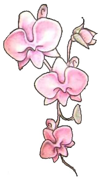 Nice Pink Orchid Flowers Tattoos Designs
