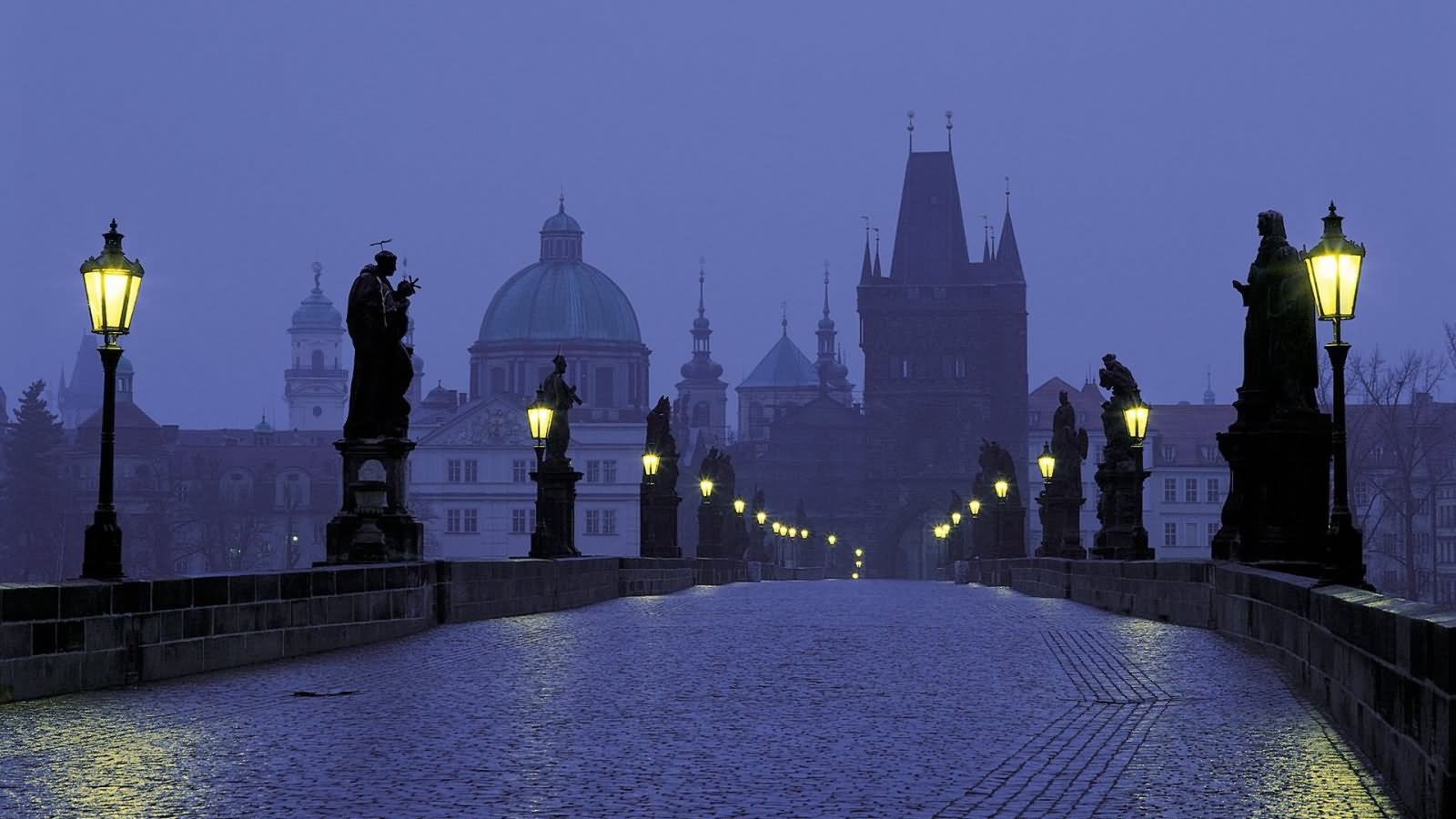Night Picture Of The Charles Bridge