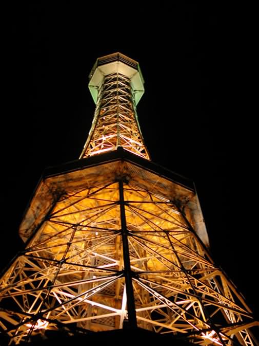 Night View Of Petrin Tower From Below