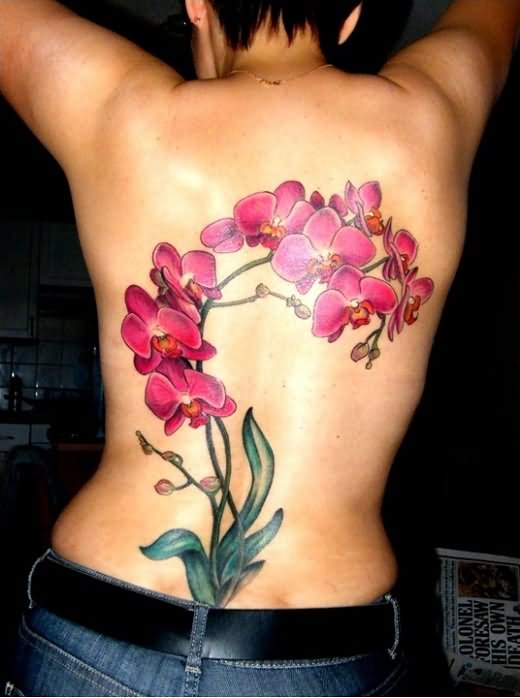 Orchid Tattoo On Back Body