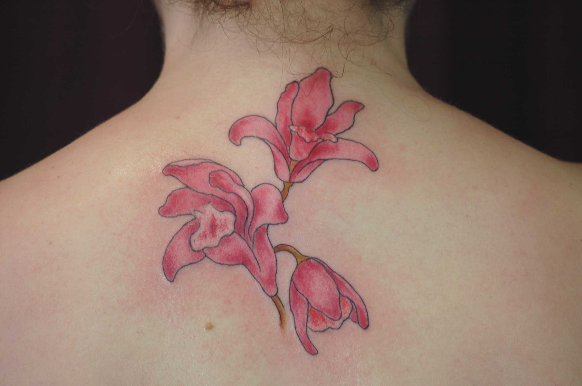 Orchid Tattoo On Girl Upper Back