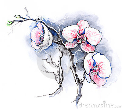 Orchid Tattoos Design Sample