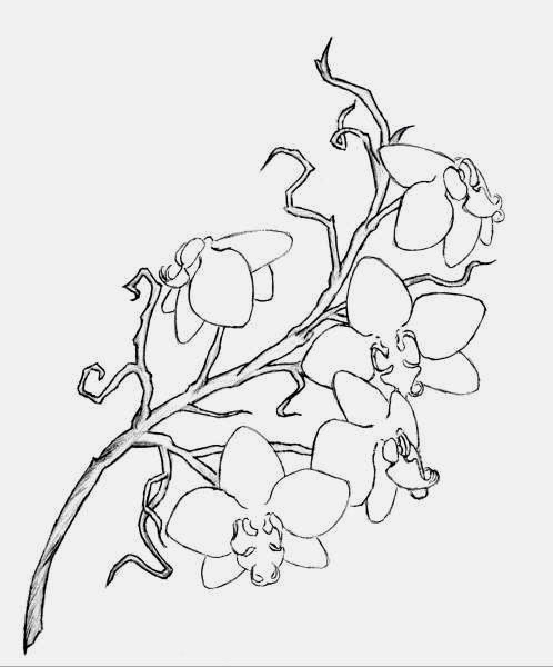 Outline Orchid Flower Tattoo Design,How To Cut Corian With A Router