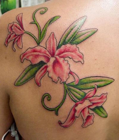 Pink Orchid Flowers Tattoo On Left Back Shoulder