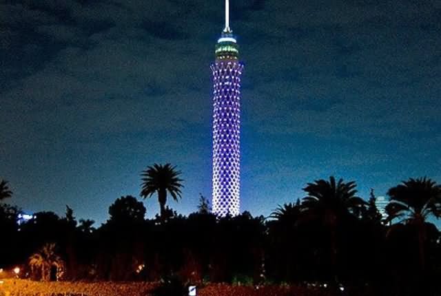Purple Cairo Tower At Night