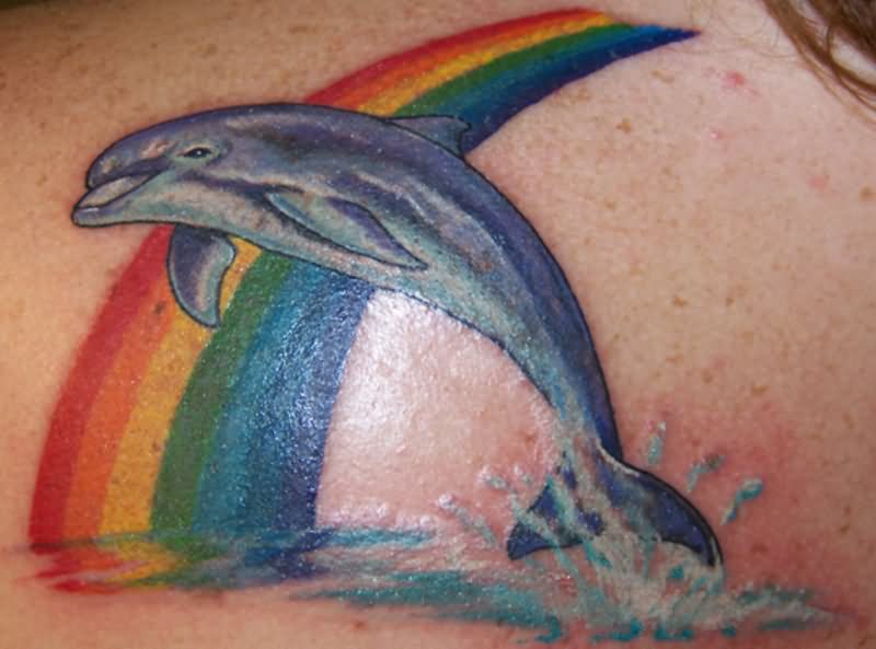 Rainbow Colors And Dolphin Tattoo On Back