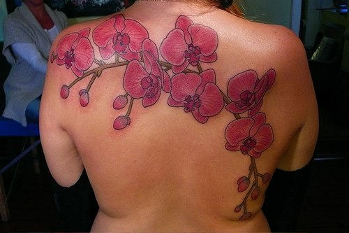 Red Orchid Flowers Tattoo On Upper Back For Women