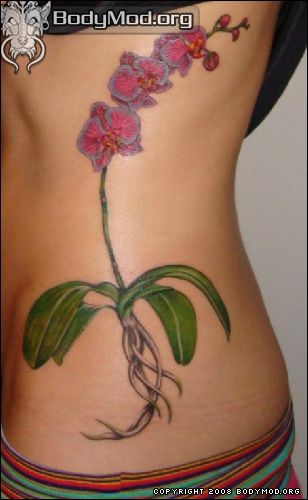 Red Orchid Tattoos On Girl Side Rib