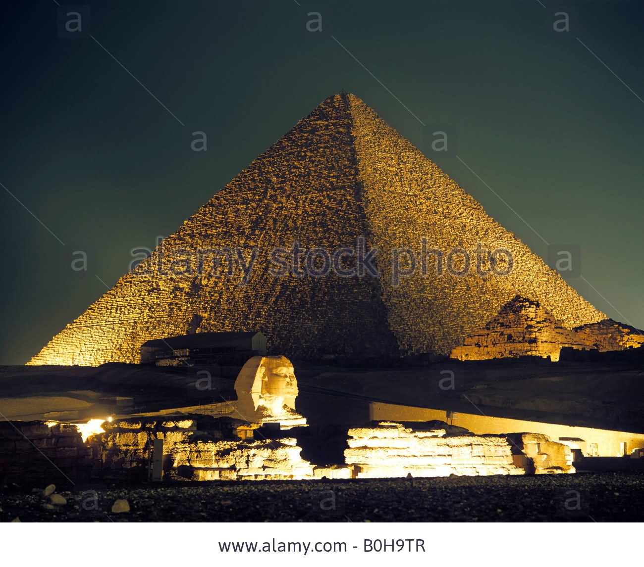 Side View Of Great Sphinx Of Giza And Pyramid At Night