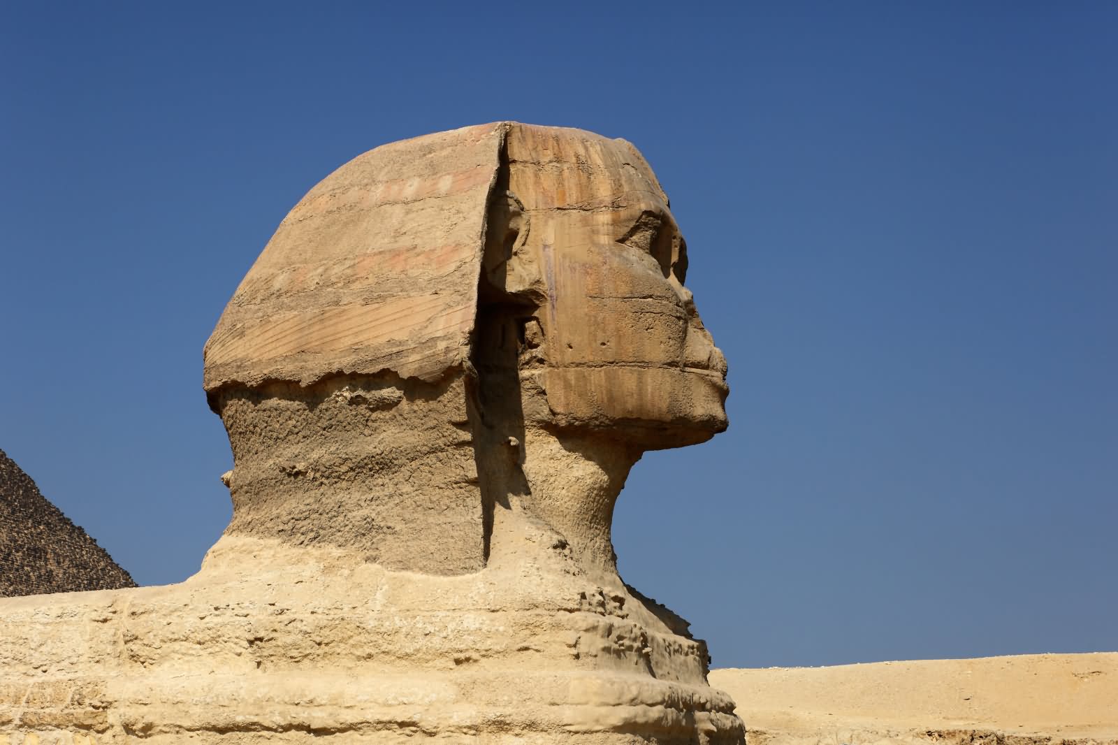 Side View Of The Great Sphinx of Giza