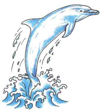 Splash Waters And Dolphin Tattoo Design