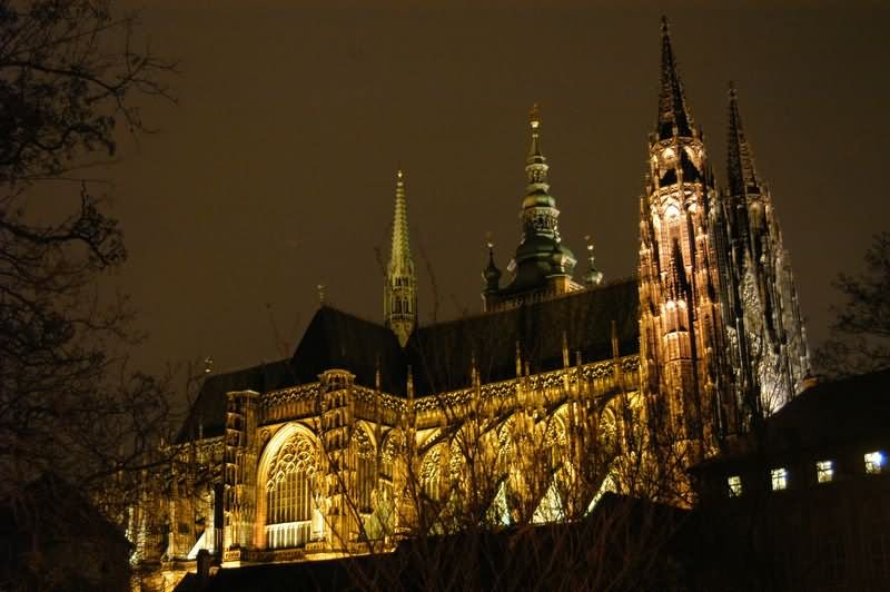 St Vitus Cathedral Looks Golden At Night