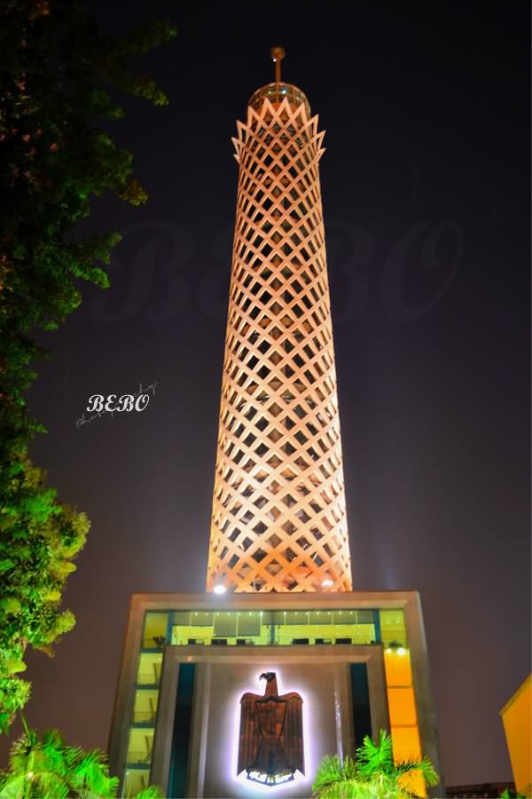 The Cairo Tower Night View From Below Picture