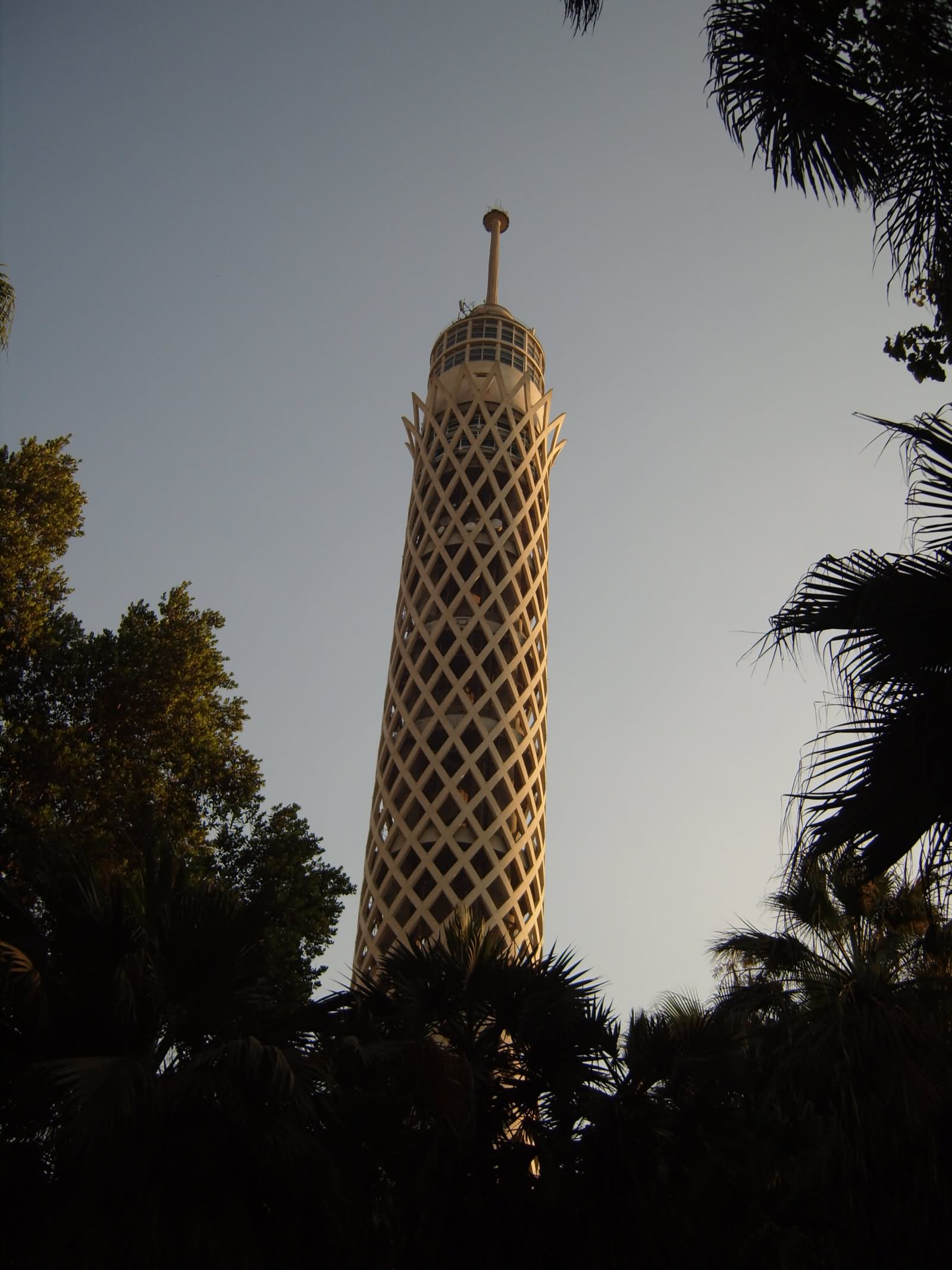 The Cairo Tower Picture