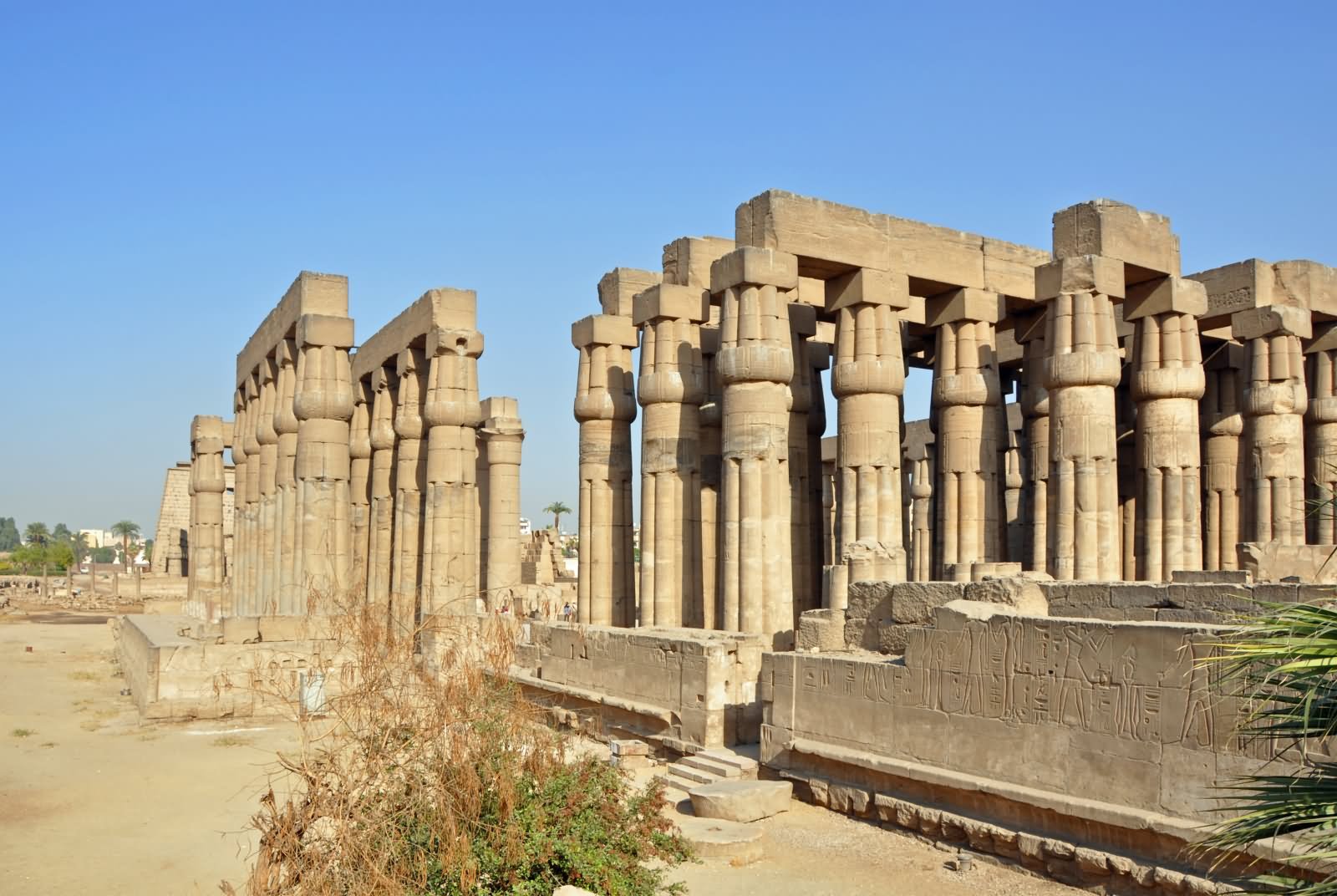 The Luxor Temple Image