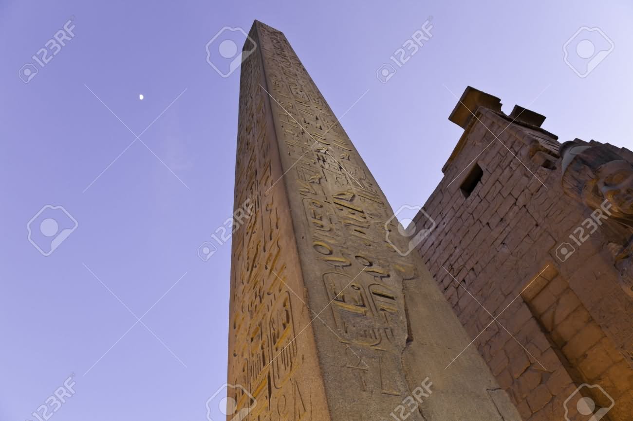 The Obelisk In Luxor Temple Egypt