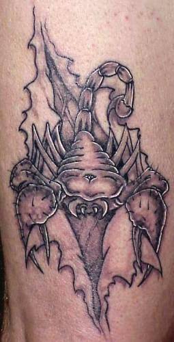 Torn Ripped Skin Scorpion Tattoo Design