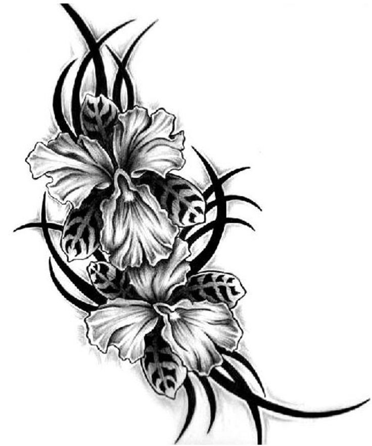 Tribal Black And White Orchid Tattoo Design