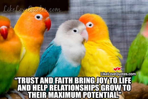 Trust And Faith Bring Joy To Life And Help Relationships Grow To Their Maximum Potential.