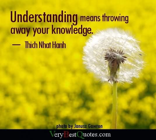 Understanding means throwing away your knowledge  – Thich Nhat Hanh