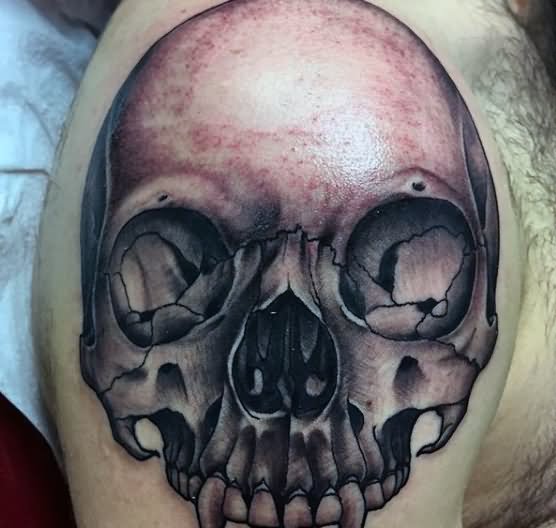 3D Black Ink Vampire Skull Tattoo On Shoulder