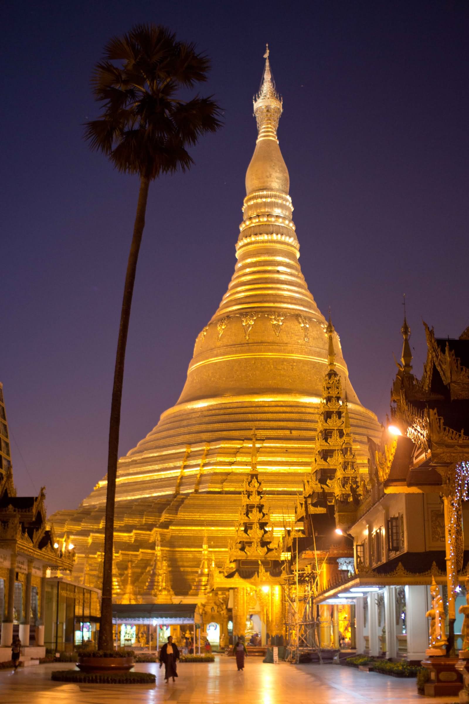 Adorable Night Picture Of Shwedagon Pagoda