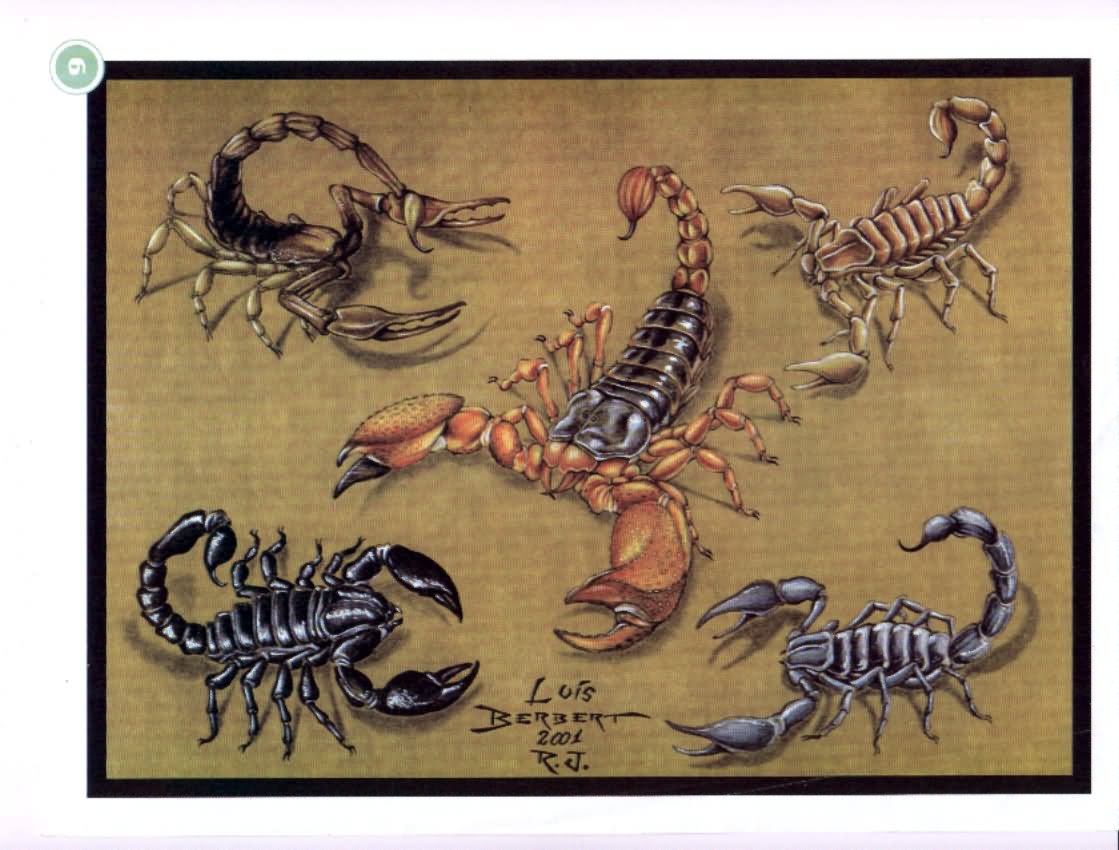 Amazing Five Scorpion Tattoo Design